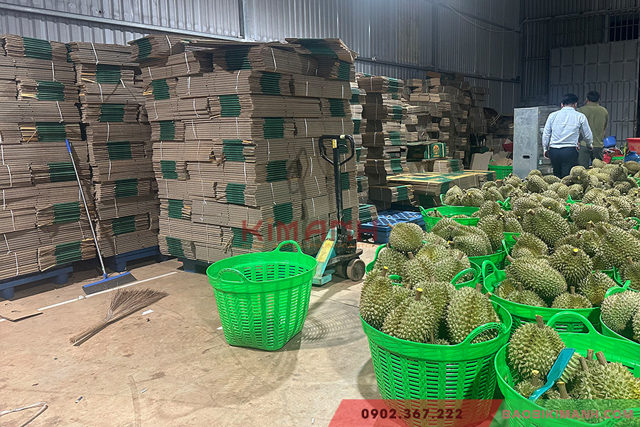 Thùng đóng sầu riêng chuyên dụng xuất khẩu