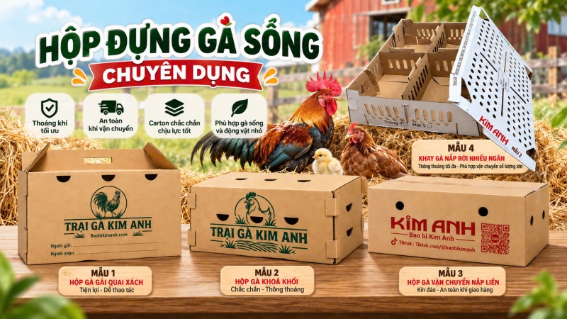 hop carton dung ga troi   ga tre    ga song